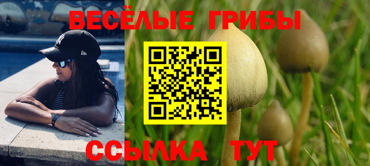 Cocaine  Вход с VPN  ЭКСТАЗИ  Вичуга  Меф кристаллы  Мефедрон  Купить наркотики  ГАШИШ  Марихуана  ГАШИШ  MDMA 