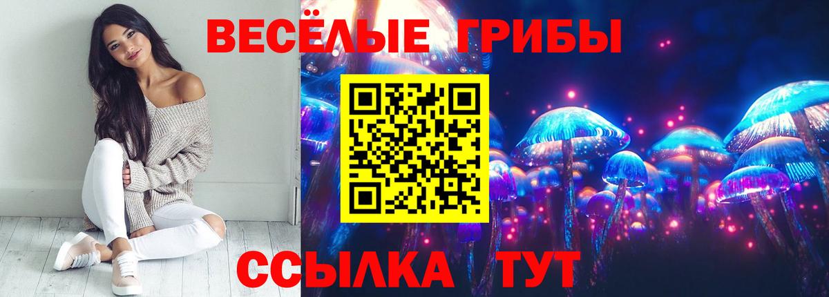 Галлюциногенные грибы Psilocybine cubensis  Псилоцибиновые грибы мицелий  Вход с VPN  Вичуга 